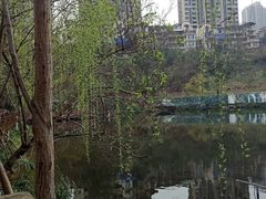 -重庆彩云湖湿地公园