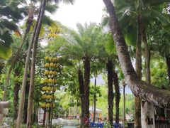 -三亚海棠湾南田温泉神龙谷