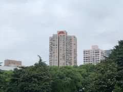 景点-鲁迅公园