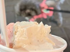 -Dal Cuore 达可芮冰淇淋(陕西北路店)