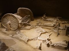 -洛阳周王城天子驾六博物馆