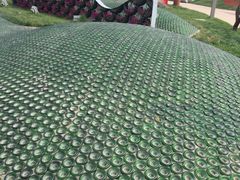 -武清南湖绿博园