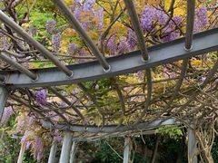 -浙江宾馆·花园餐厅·自助餐厅·茶吧