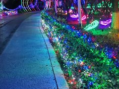 -青龙湖公园