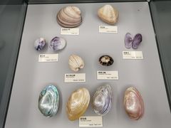 -天津古林古海岸遗迹博物馆