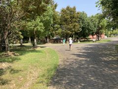 -上海海湾国家森林公园