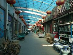 -中环花鸟鱼虫市场