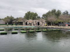 -杨柳青庄园