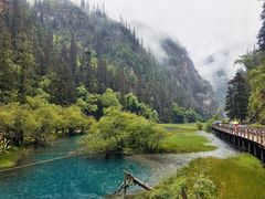 -九寨沟-树正沟