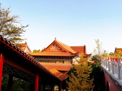 -开福禅寺
