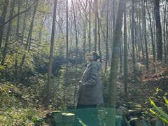 -天目湖山水园