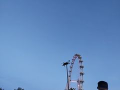 -金鸡湖景区