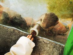 -杭州野生动物世界