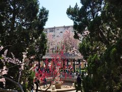 -桃花堤公园