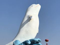 -杭州长乔极地海洋公园