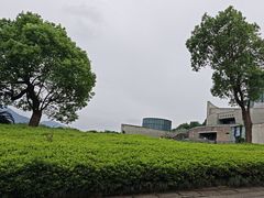 -龙泉青瓷博物馆