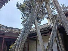 -太平天国侍王府