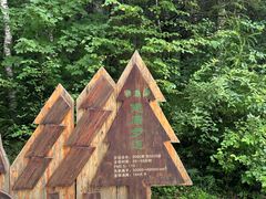 -汤旺河林海奇石景区