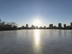 -莲花池公园