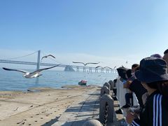 -星海湾跨海大桥