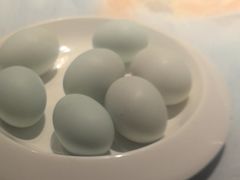 溏心蛋海鸭-佬太公海鸭·海鲜大排档(上海总店)