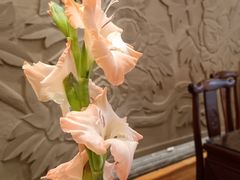 -面辣子·陕西家乡菜(钟楼店)