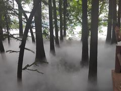 -东湖落雁景区