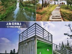 -花开海上生态园