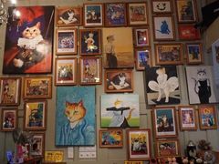 -猫咪博物馆(顶澳仔猫街店)