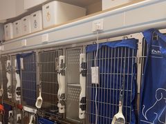 -瑞派康怡24h宠物医院·犬猫医疗中心·微创绝育(瑞景分院)
