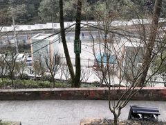 -大金鹰园