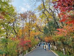 -王红军龙虾(新民路店)