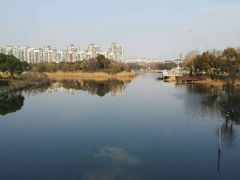 -新江湾城公园