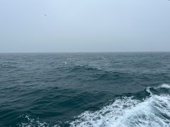 -东澳岛