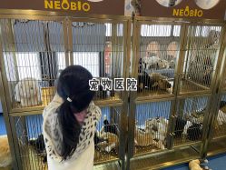 -奈尔宝·儿童乐园·亲子餐厅(鄞州万达店)