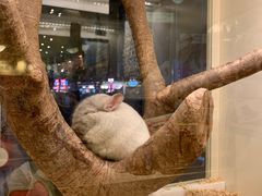 -龙猫仔乐园(惠福东路店)