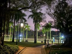 -南宁南湖公园