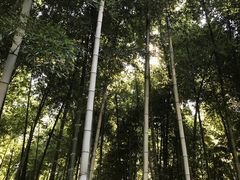 -同里国家湿地公园