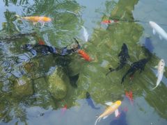 -三里河公园