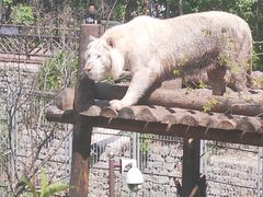 -济南野生动物世界