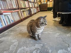 -正阳书局(西四南大街店)