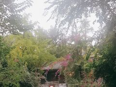 -大妙火锅·非物质文化遗产(东湖公园店)