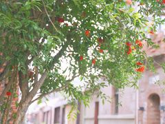 -晋江五店市传统文化旅游区