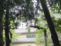 -灵谷景区