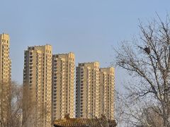 -曹州牡丹园