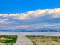 -洱海月湿地公园