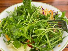 芝麻菜色拉-萨莉亚意式餐厅(金隅嘉品mall店)