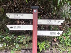 -刘伯温故里景区百丈漈