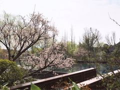 -杭州西子湖四季酒店-WL BISTRO西湖餐厅(灵隐路店)