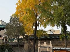 -西安化觉巷清真大寺